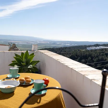 Atico Trafalgar By La Juderia De Vejer - Inside A Typical Andalusian Casa Patio Apartment *
